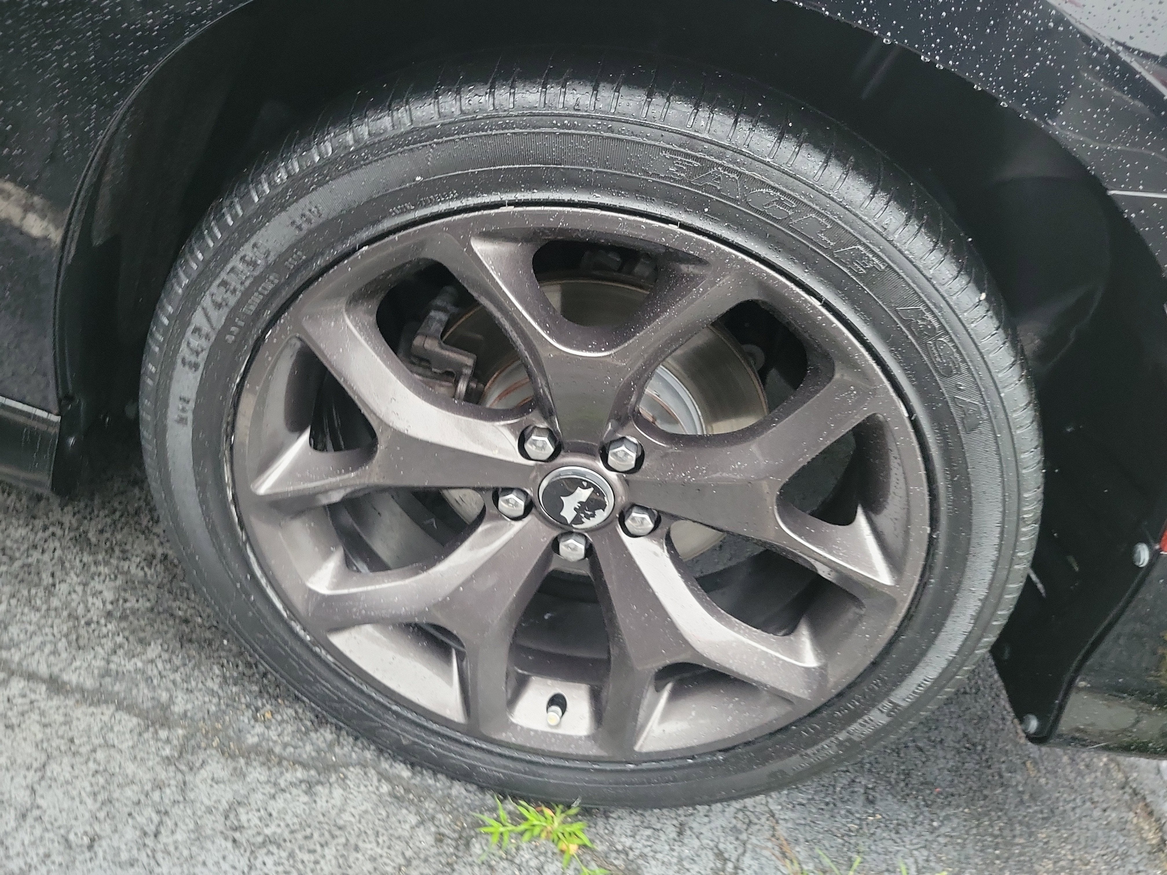 2019 Dodge Charger R/T